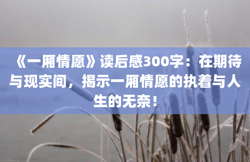 《一厢情愿》读后感300字：在期待与现实间，揭示一厢情愿的执着与人生的无奈！