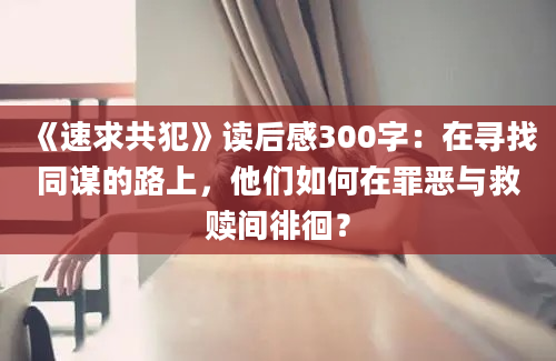 《速求共犯》读后感300字：在寻找同谋的路上，他们如何在罪恶与救赎间徘徊？