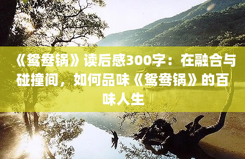 《鸳鸯锅》读后感300字：在融合与碰撞间，如何品味《鸳鸯锅》的百味人生