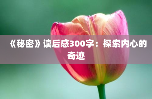 《秘密》读后感300字：探索内心的奇迹