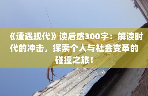 《遭遇现代》读后感300字：解读时代的冲击，探索个人与社会变革的碰撞之旅！