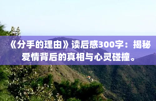 《分手的理由》读后感300字：揭秘爱情背后的真相与心灵碰撞。