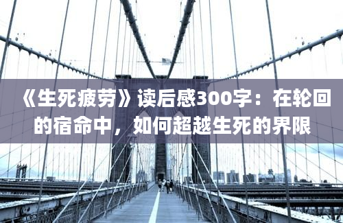 《生死疲劳》读后感300字：在轮回的宿命中，如何超越生死的界限