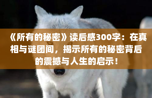 《所有的秘密》读后感300字：在真相与谜团间，揭示所有的秘密背后的震撼与人生的启示！