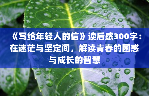 《写给年轻人的信》读后感300字：在迷茫与坚定间，解读青春的困惑与成长的智慧