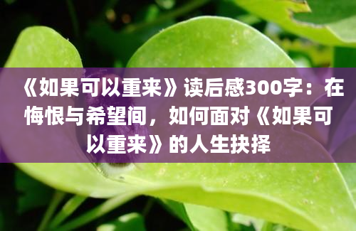 《如果可以重来》读后感300字：在悔恨与希望间，如何面对《如果可以重来》的人生抉择