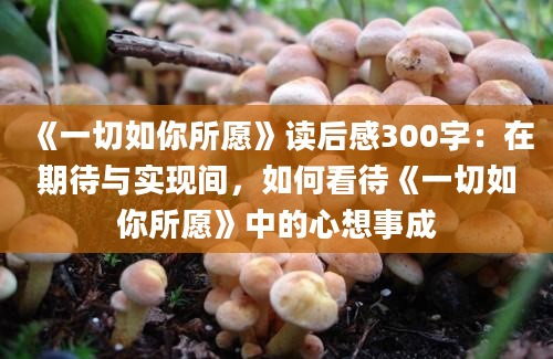 《一切如你所愿》读后感300字：在期待与实现间，如何看待《一切如你所愿》中的心想事成