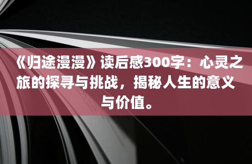 《归途漫漫》读后感300字：心灵之旅的探寻与挑战，揭秘人生的意义与价值。