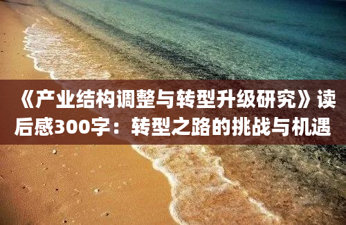 《产业结构调整与转型升级研究》读后感300字：转型之路的挑战与机遇