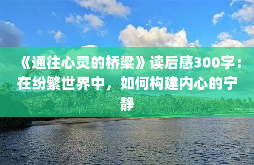 《通往心灵的桥梁》读后感300字：在纷繁世界中，如何构建内心的宁静