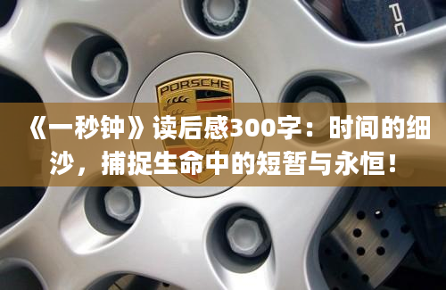 《一秒钟》读后感300字：时间的细沙，捕捉生命中的短暂与永恒！