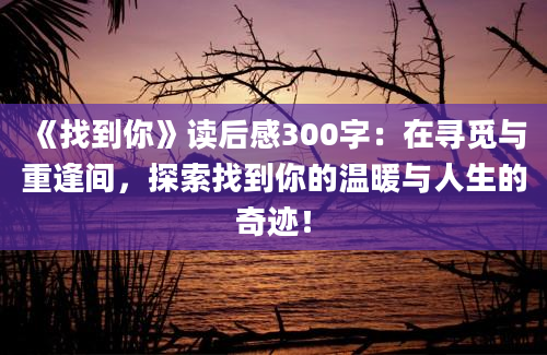 《找到你》读后感300字：在寻觅与重逢间，探索找到你的温暖与人生的奇迹！