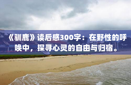 《驯鹿》读后感300字：在野性的呼唤中，探寻心灵的自由与归宿。