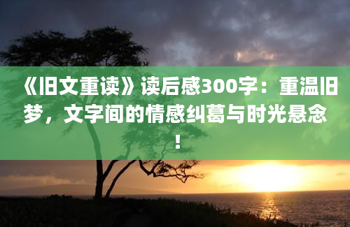 《旧文重读》读后感300字：重温旧梦，文字间的情感纠葛与时光悬念！