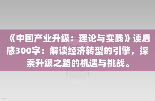 《中国产业升级：理论与实践》读后感300字：解读经济转型的引擎，探索升级之路的机遇与挑战。