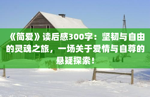 《简爱》读后感300字：坚韧与自由的灵魂之旅，一场关于爱情与自尊的悬疑探索！