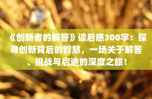 《创新者的解答》读后感300字：探寻创新背后的智慧，一场关于解答、挑战与启迪的深度之旅！