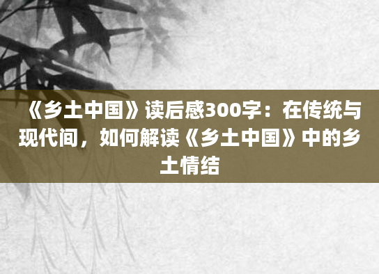 《乡土中国》读后感300字：在传统与现代间，如何解读《乡土中国》中的乡土情结