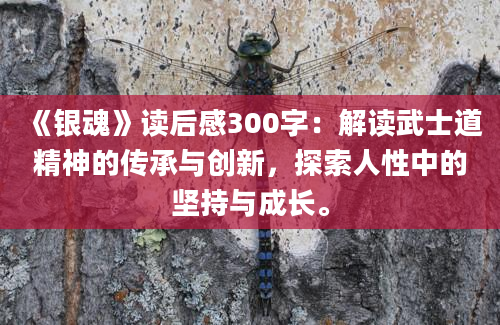 《银魂》读后感300字：解读武士道精神的传承与创新，探索人性中的坚持与成长。