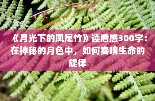 《月光下的凤尾竹》读后感300字：在神秘的月色中，如何奏响生命的旋律