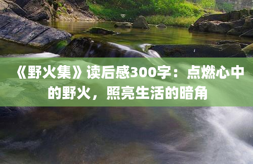 《野火集》读后感300字：点燃心中的野火，照亮生活的暗角