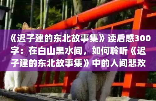 《迟子建的东北故事集》读后感300字：在白山黑水间，如何聆听《迟子建的东北故事集》中的人间悲欢