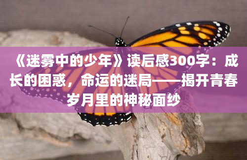 《迷雾中的少年》读后感300字：成长的困惑，命运的迷局——揭开青春岁月里的神秘面纱