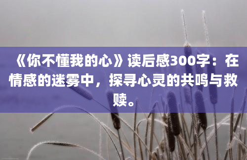 《你不懂我的心》读后感300字：在情感的迷雾中，探寻心灵的共鸣与救赎。