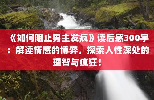 《如何阻止男主发疯》读后感300字：解读情感的博弈，探索人性深处的理智与疯狂！