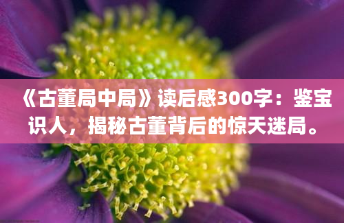 《古董局中局》读后感300字：鉴宝识人，揭秘古董背后的惊天迷局。