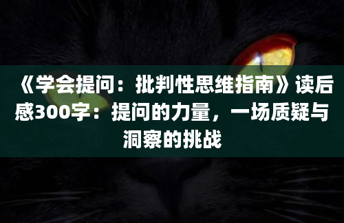 《学会提问：批判性思维指南》读后感300字：提问的力量，一场质疑与洞察的挑战