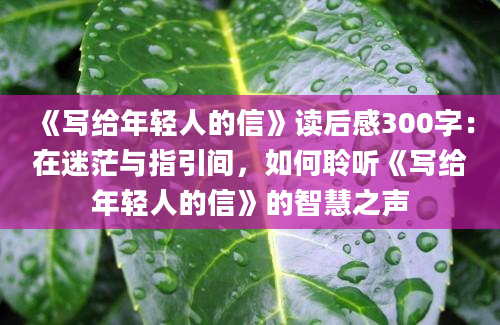 《写给年轻人的信》读后感300字：在迷茫与指引间，如何聆听《写给年轻人的信》的智慧之声