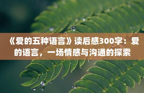 《爱的五种语言》<a href=https://www.baixuetang.com target=_blank class=infotextkey>读后感</a>300字：爱的语言，一场情感与沟通的探索