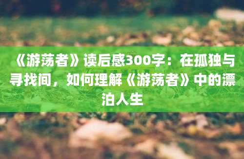 《游荡者》读后感300字：在孤独与寻找间，如何理解《游荡者》中的漂泊人生