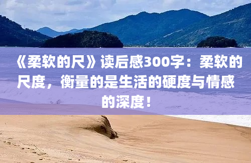 《柔软的尺》读后感300字：柔软的尺度，衡量的是生活的硬度与情感的深度！