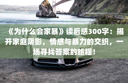 《为什么会家暴》读后感300字：揭开家庭阴影，情感与暴力的交织，一场寻找答案的旅程！