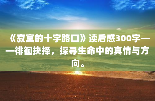 《寂寞的十字路口》读后感300字——徘徊抉择，探寻生命中的真情与方向。