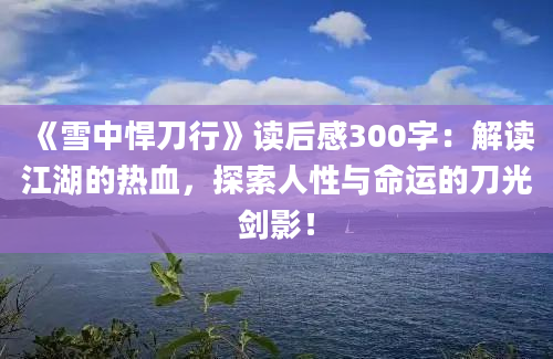 《雪中悍刀行》读后感300字：解读江湖的热血，探索人性与命运的刀光剑影！