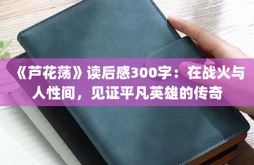 《芦花荡》读后感300字：在战火与人性间，见证平凡英雄的传奇