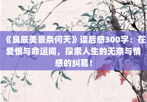 《良辰美景奈何天》读后感300字：在爱恨与命运间，探索人生的无奈与情感的纠葛！