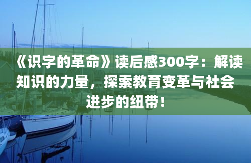 《识字的革命》读后感300字：解读知识的力量，探索教育变革与社会进步的纽带！