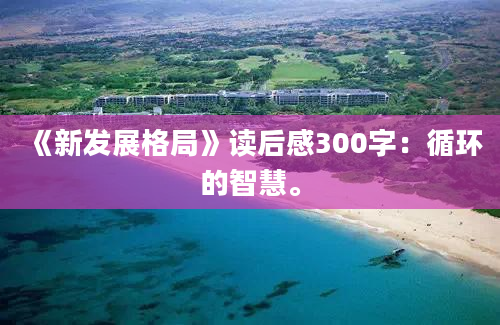 《新发展格局》读后感300字：循环的智慧。