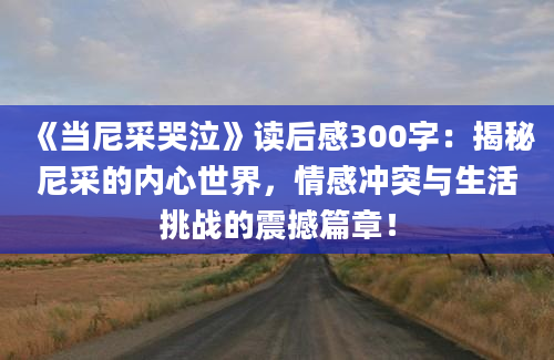 《当尼采哭泣》读后感300字：揭秘尼采的内心世界，情感冲突与生活挑战的震撼篇章！