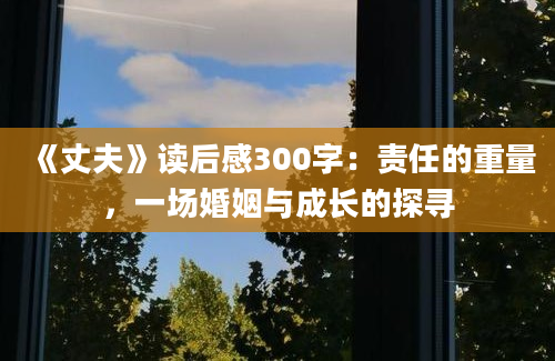 《丈夫》读后感300字：责任的重量，一场婚姻与成长的探寻