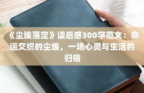 《尘埃落定》读后感300字范文：命运交织的尘埃，一场心灵与生活的归宿