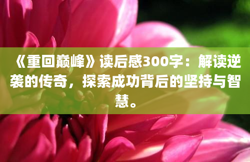 《重回巅峰》读后感300字：解读逆袭的传奇，探索成功背后的坚持与智慧。