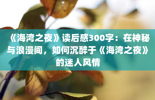 《海湾之夜》读后感300字：在神秘与浪漫间，如何沉醉于《海湾之夜》的迷人风情