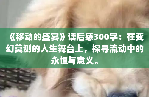 《移动的盛宴》读后感300字：在变幻莫测的人生舞台上，探寻流动中的永恒与意义。