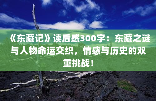 《东藏记》读后感300字：东藏之谜与人物命运交织，情感与历史的双重挑战！