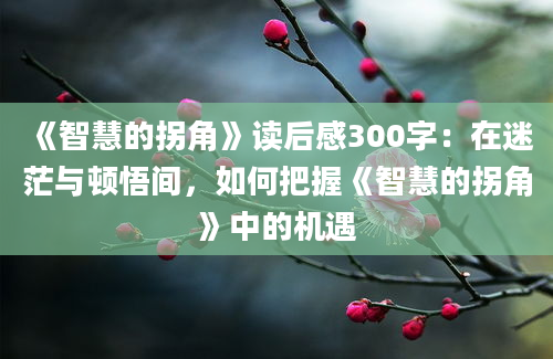 《智慧的拐角》读后感300字：在迷茫与顿悟间，如何把握《智慧的拐角》中的机遇